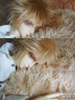 Class70 [GARSH] Head Only