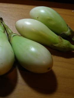 มะเขือน้ำหยด เขียว