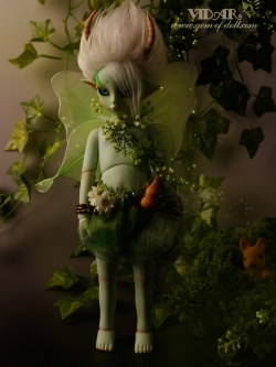 Add Face up, Add Fullset