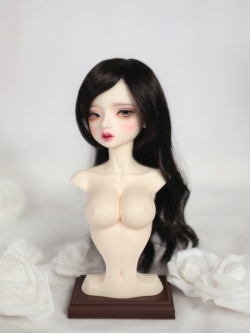 Little Harmony Girl Torso