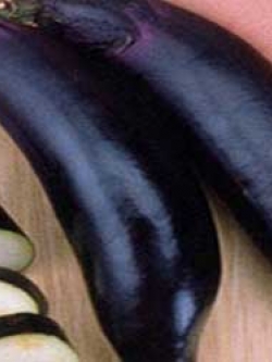 มะเขือยาวดำญี่ปุ่น - Japanese Long Black (เมล็ด OP)