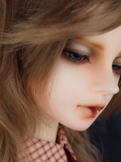 Senior Delf TERRA DREAMING