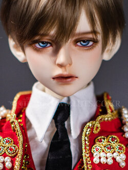 Senior65 Delf CRIMSON