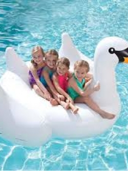 แพหงส์เป่าลม