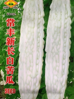 มะระขาว จีน F1