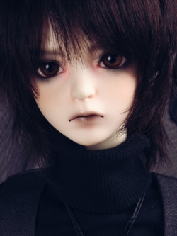 Senior Delf SHERARD ver.2