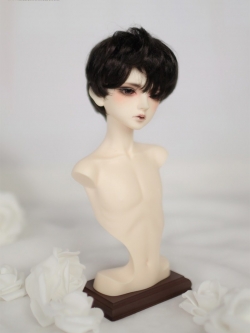 Little Harmony Boy Torso