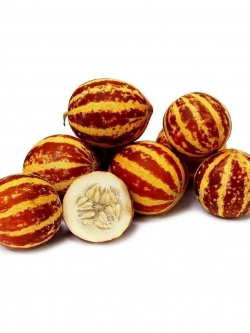 แตงกวา อาร์เมเนีย หรือ แตงเสือ (Tigger Melon)