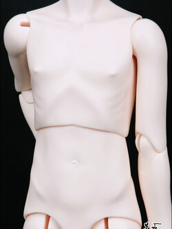 Senior Delf Body BOY Type 3