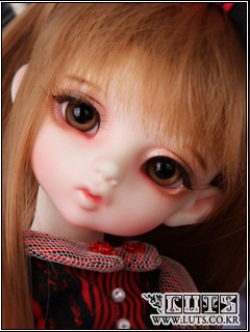 WAFFLE ROSE-LITTLE PRINCE