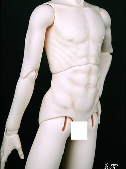 Senior Delf Body BOY Type 1