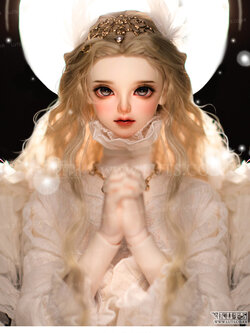 Senior Delf MUSE LUCIA