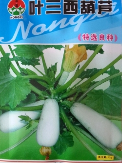 ซูกินี่ สีขาว