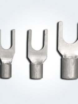 หางปลา เปลือย Y-TYPE