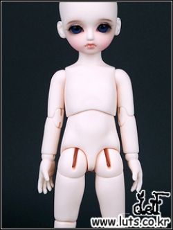 Honey Delf Body TYPE 1