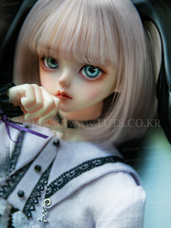 Senior Delf MUSE ANI