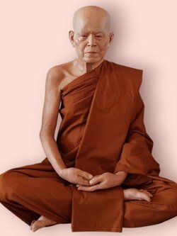 หลวงตามหาบัว ญาณสัมปันโน (วัดป่าบ้านตาด)