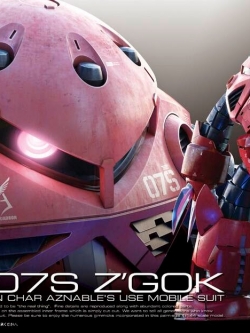 RG 1/144 Char's Z'Gok[BANDAI]