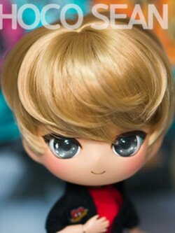 [Limited] Choco Sean