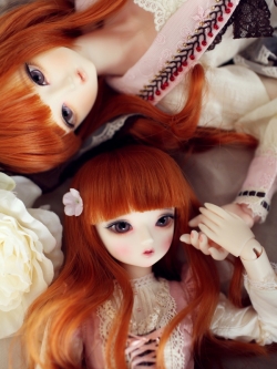 EVENT] Little sarubia - Full sets