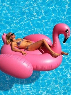 แพยางนกฟลามิงโก้