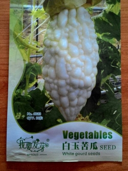 มะระขี้นกยักษ์ สีขาว F1