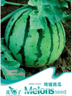 แตงโมจิ๋วสีแดง Red Baby Vanguard Watermelon (F1)