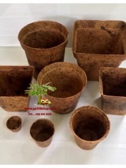 กระถางใยมะพร้าว