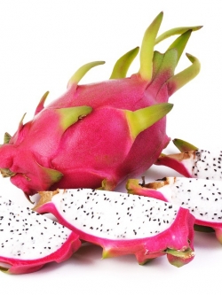 กิ่งชำ แก้วมังกรขาว จัมโบ้ (Dragon fruit Jumbo) ตรงตามสายพันธุ์แท้ 100%