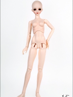 Senior Delf Body GIRL Type 1