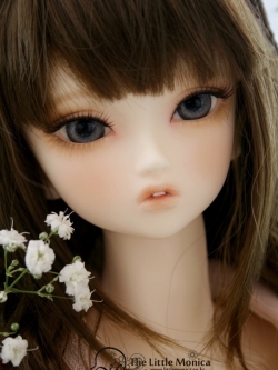 Face-up (Add+1,980), Boy G Body : Upper Torso 3 Division