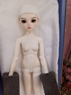 [มือ2] Kid Delf CARROT