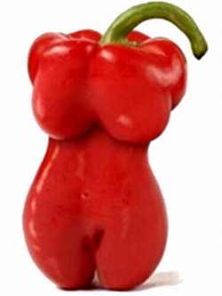 พริกสาวน้อย หรือพริกเซ็กซี่ (7 เมล็ด/ซอง)