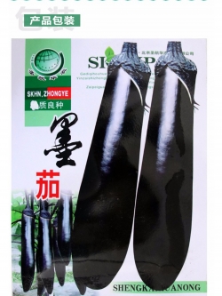 มะเขือยาวญี่ปุ่น สีดำ F1 (Japanese Long Black F1)