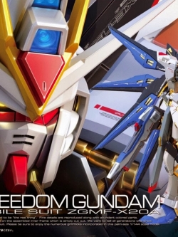 RG 1/144 ZGMF-X20A STRIKE FREEDOM GUNDAM[BANDAI]