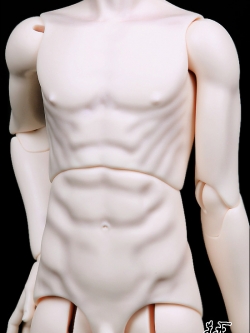 Senior Delf Body BOY Type 2