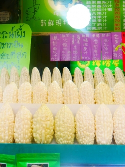 มะระขาว ไต้หวัน OP (White bitter gourd OP)