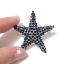 เข็มกลัดคริสตัล ดาว/ปลาดาวสีคราม สวยวิ้งๆ ขนาด 3.7 cm madeinKOREA