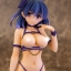 เปิดจอง Hana Fukiishi Racing girl ver. illustration by Kurehito Misaki