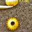 ลูกปัดทองเหลืองแท้ ทรงฟักทองลายลูกฟูก ขนาด 0.6 cm (จำนวน 10 เม็ด)