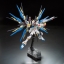 RG 1/144 ZGMF-X20A STRIKE FREEDOM GUNDAM[BANDAI]