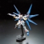 RG 1/144 ZGMF-X20A STRIKE FREEDOM GUNDAM[BANDAI]