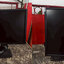 LED 24" DELL U241M IPS 60Hz VGA + DVI + DP ประกัน 2 เดือน