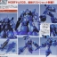 HGBF 1/144 DOM R35[BANDAI]