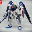 [PO]RG 1/144 FREEDOM GUNDAM[BANDAI]