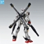[PO]MG 1/100 CROSSBONE GUNDAM X0 Ver.Ka[BANDAI]