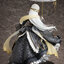 เปิดจอง : Echidna -Hanfu-