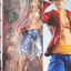 [PO]Monkey D. Luffy [Action Figure]