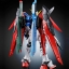 [PO]RG1/144 DESTINY GUNDAM(TITANIUM FINISH)[BANDAI]ก.ค.-ส.ค.