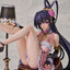 เปิดจอง : Akeno Himejima: Light Novel 15th Anniversary ver.